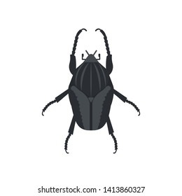 Goliath beetle icon in flat style, african animal vector illustration