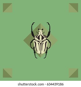 Goliath beetle in rhombus icon
