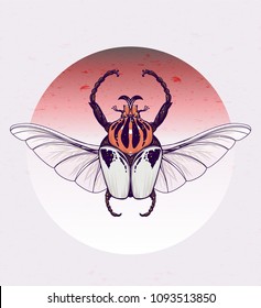 Goliath beetle with skull wings. Vector hand-drawn illustration