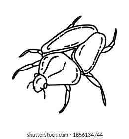 Goliath Beetles Icon. Tropical Animal Hand Drawn Icon Set Vector.