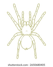 Golias Birdeater Golias Birdeater