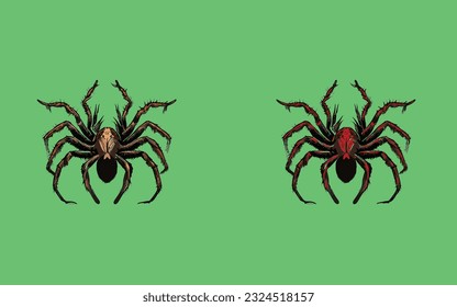 Goliath birdfeeder hand drawn vector illustration. Linear engraved art. Goliath birdfeeder spider vector.