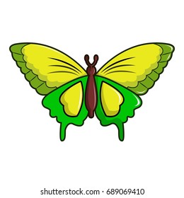 Goliath birdwing butterfly icon. Cartoon illustration of goliath birdwing butterfly vector icon for web design