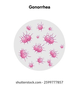 Gonorrhea. Human reproductive system transmitted infection virus bacterial
