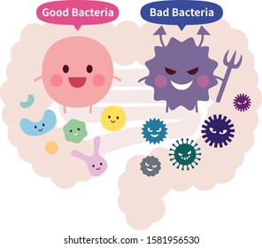 Good Bacteria And Bad Bacteria