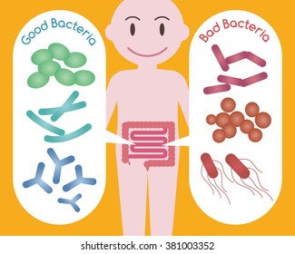 Good Bacteria and Bad Bacteria, enteric bacteria, Intestinal flora, Gut flora, probiotics, image illustration