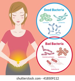 Good Bacteria And Bad Bacteria, Enteric Bacteria, Intestinal Flora, Gut Flora, Probiotics, Image Illustration