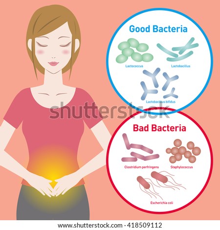 Good Bacteria and Bad Bacteria, enteric bacteria, Intestinal flora, Gut flora, probiotics, image illustration