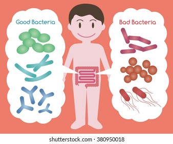 Good Bacteria And Bad Bacteria, Intestinal Flora, Gut Flora, Image Illustration