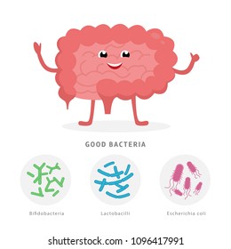 Good bacteria concept illustration, healthy intestine cartoon character isolated on white background. Gut microflora with Bifidobacteria, Lactobacilli, Escherichia coli medical illustration