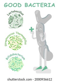 Good bacteria poster with character. Medical infographic. Escherichia coli sign. Healthy lifestyle concept. Lactobacillus symbol. Healthcare medicine design. Vector illustration on a white background