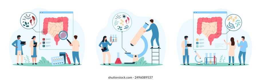 Good and bad bacteria in human intestines set. Tiny people with magnifying glass and microscope research small microbes and bacillus, lactobacillus bacterium inside bowel cartoon vector illustration