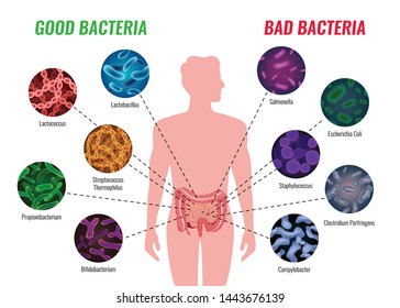 Good And Bad Bacteria Poster With Healthcare And Treatment Symbols Flat  Vector Illustration