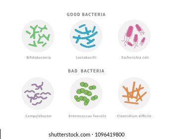 Conjunto de ícones de flora bacteriana bom e ruim isolado no fundo branco. Ilustração médica do conceito de disbiose intestinal com microorganismos.