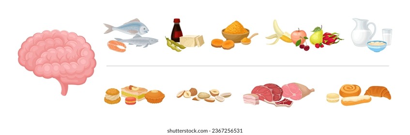 Good and Bad Food Category and Nutrition Group for Brain Function Vector Set