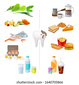 Good and Bad Food for Healthy Teeth Vector Illustration with Tooth Image in the Middle and Products all Around