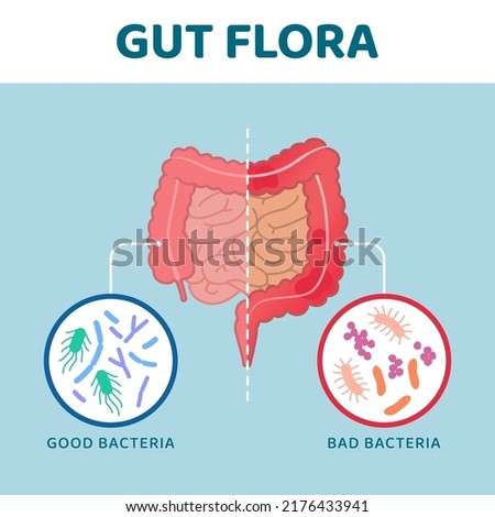 Good and bad gut bacteria: comparison between healthy intestine and unhealthy intestine