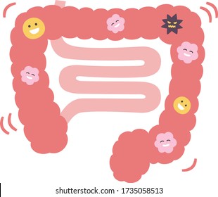 Good balance of intestinal flora. Illustration of pink large intestine and small intestine.