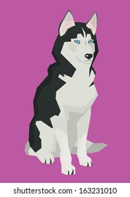  Good dog husky. From a series of images of funny dogs. 