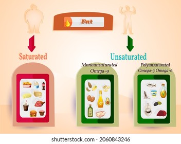Good fats and bad fats, polyunsaturated and monounsaturated fats versus saturated or trans fatty acids. A healthy balanced diet concept. Foods high in antioxidants, minerals and vitamins. 