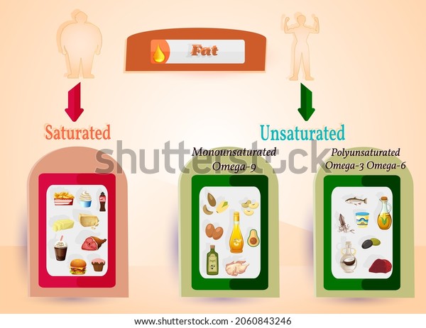 Good Fats Bad Fats Polyunsaturated Monounsaturated Stock Vector ...