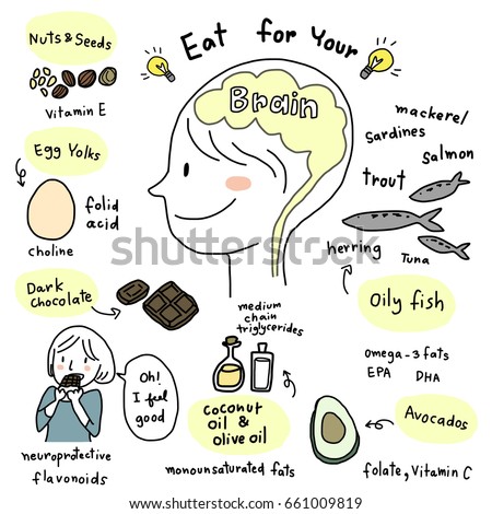 Good food for brain concept with side view of head with brain inside. Healthy food for brain such as egg, dark chocolate, avocado, oily fishes, nuts, seeds and wording regarding nutrition included.