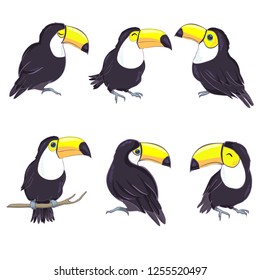 A good illustration of a Toucan in vector format. Cute Toucan bird picture for children's clothing.