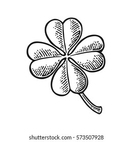 Good luck four leaf clover. Vintage black vector engraving illustration for info graphic, poster, web. Isolated on white background.