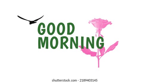 Good Morning Beautiful Vector Design