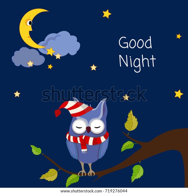 おやすみ かわいい眠りフクロウのカード ベクターイラスト のベクター画像素材 ロイヤリティフリー 719276044