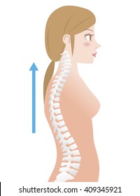 Good posture, woman's body silhouette and backbone, chiropractic image, vector illustration