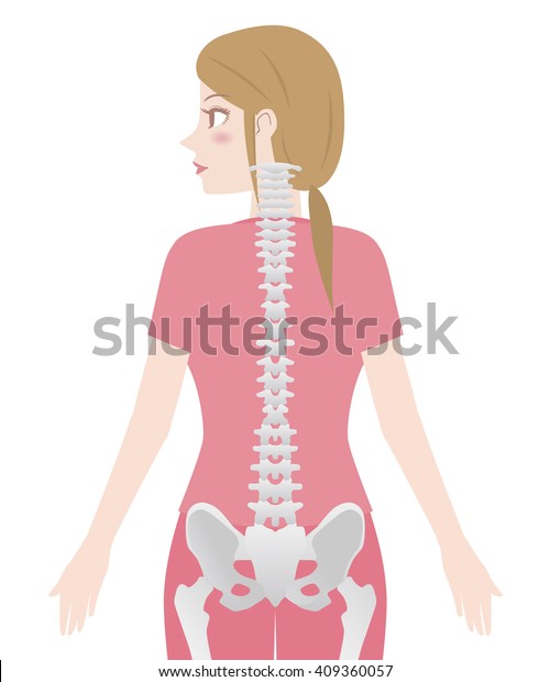 いい姿勢 女性の体のシルエットと背骨 カイロプラクティックの画像 ベクターイラスト のベクター画像素材 ロイヤリティフリー