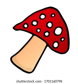 Good red fly agaric. Nature illustration isolated on white background. Suitable for design, brand logo, badge, t-shirt, printed cups, postcards.