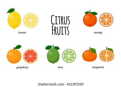 Good Set Citrus Fruits Their Crosssection Stock Vector (Royalty Free ...