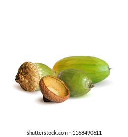 Good and strong acorns. Beautiful acorns. Oak leaves in triangulation technique. Vector illustration. Oak low poly.