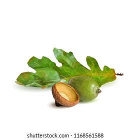 Good and strong acorns. Beautiful acorns. Oak leaves in triangulation technique. Vector illustration. Oak low poly.