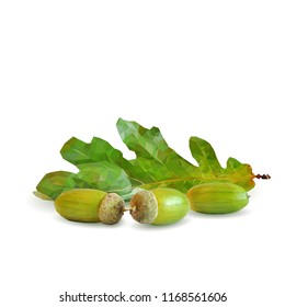 Good and strong acorns. Beautiful acorns. Oak leaves in triangulation technique. Vector illustration. Oak low poly.
