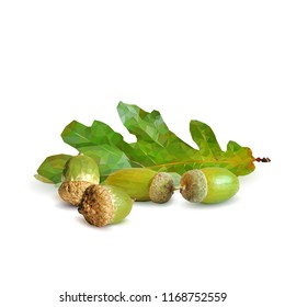 Good and strong acorns. Beautiful acorns. Oak leaves in triangulation technique. Vector illustration. Oak low poly.