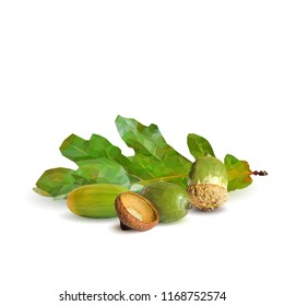 Good and strong acorns. Beautiful acorns. Oak leaves in triangulation technique. Vector illustration. Oak low poly.