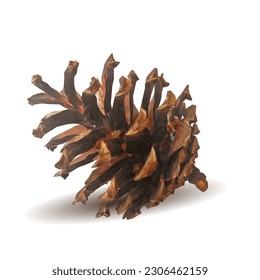 Good and strong pine cone. Beautiful pine cone. Cone in triangulation technique. Vector illustration. Pine cone low poly.