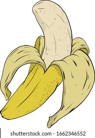 Good Vector banana image draw.