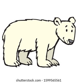 good white bear looks at us