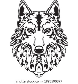 Good wolf, wolf face, illustration