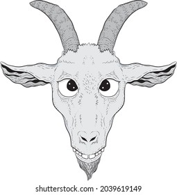 Goofy goat cartoon head hand drawn, vector art, vector file, funny  expression, isolated on white background