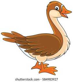 Goose