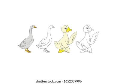 Goose Animal Cartoon Vector Illustration Bundle