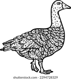 Goose Animal Coloring Page for Adults