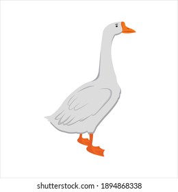 Goose For Animal Vector Illustration