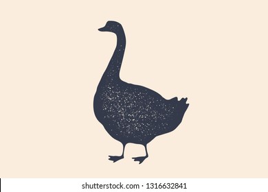 Goose, bird. Concept design of farm animals - Goose side view profile. Isolated black silhouette goose on white background. Vintage retro print, poster, icon. Vector Illustration