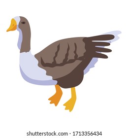 Gänsevogelsymbol. Isometrisch zur Gänsevogel-Vektorillustration Symbol für Webdesign einzeln auf weißem Hintergrund